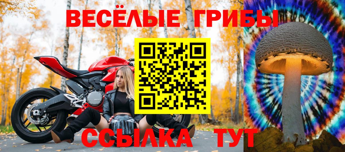 Псилоцибиновые грибы мухоморы Сургут